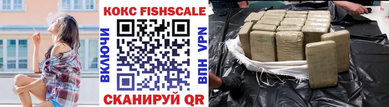 omg ссылки  купить наркоту  Заводоуковск  Кокаин Fish Scale 