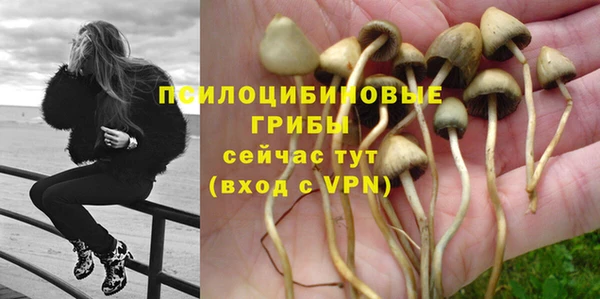 mdpv Володарск
