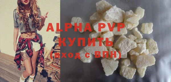 прущие грибы Верхний Тагил