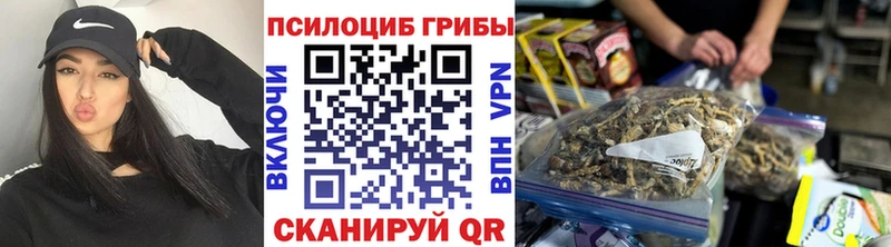хочу наркоту  Заводоуковск  Псилоцибиновые грибы Psilocybe 