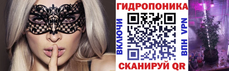 Бошки марихуана SATIVA & INDICA  где купить наркоту  блэк спрут   Заводоуковск 